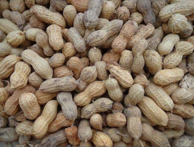 Groundnuts-004-01